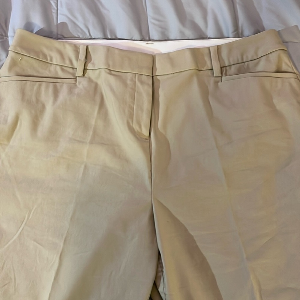 Lane Bryant Four Seasons tan pants. Size 20.